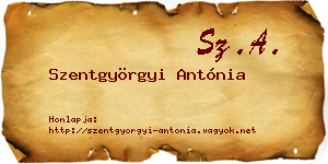 Szentgyörgyi Antónia névjegykártya
